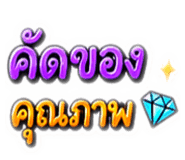 842377981