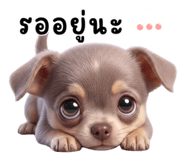 842378306