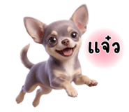 842378311