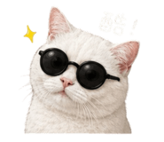 842378619