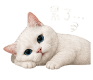 842378620