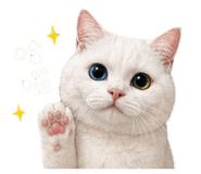 842378625
