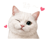 842378628