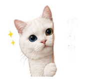 842378632