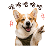 842379049