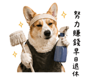 842379052