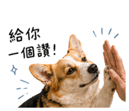 842379061