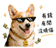 842379062