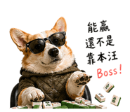 842379068