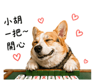 842379069