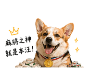 842379072
