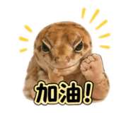 842379178