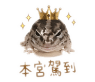 842379188