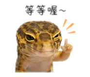 842379189