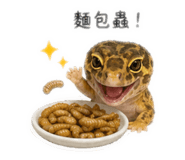 842379193