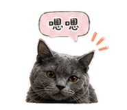 842379450