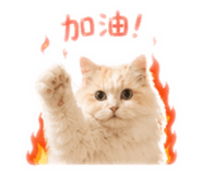 842379544