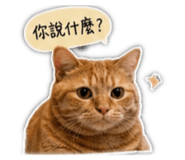 842379562