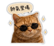 842379567
