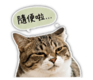 842379570