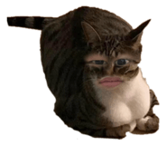 842379898