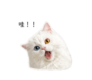 842379979