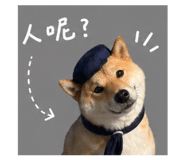 842381138