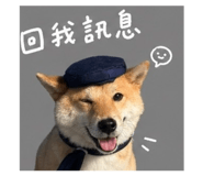842381139