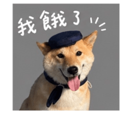 842381140