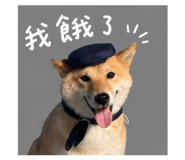 842381140