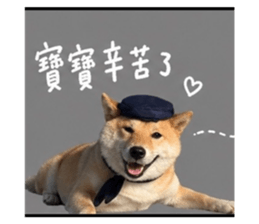 842381141