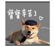 842381141