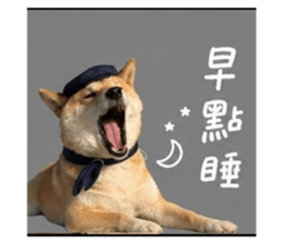 842381142