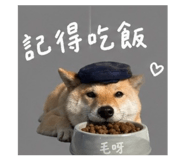 842381143