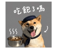 842381144