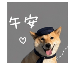 842381145