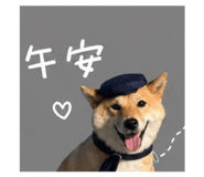 842381145
