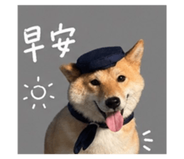 842381146