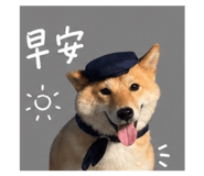 842381146