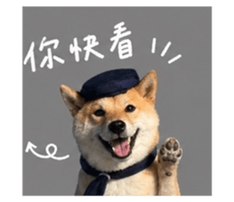 842381147