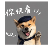 842381147
