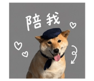842381148