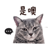 842381737