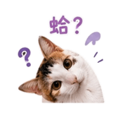 842381739