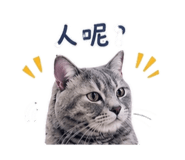 842381743