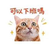 842381746