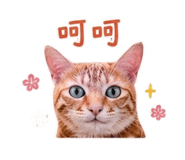 842381747