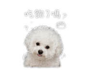 842381820
