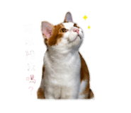 842381854