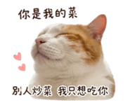 842381871
